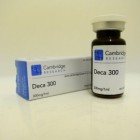 Cambridge Research Deca 300